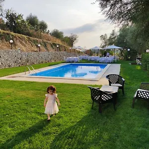 Aurora Resort
