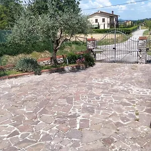 Affittacamerelaquerce Affittacamere Monte San Savino